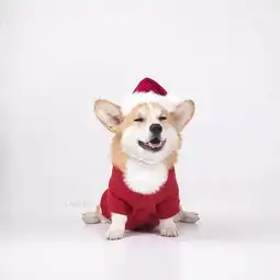 我可以摸摸你的屁股吗