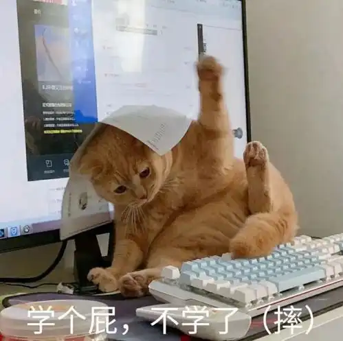 用python把b站视频弹幕爬下来,绘制词云图看看大家最关心什么