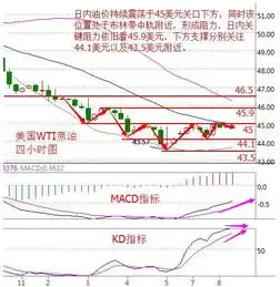 11.8美国大选希拉里会是首位女总统原油做多白银做空附解套