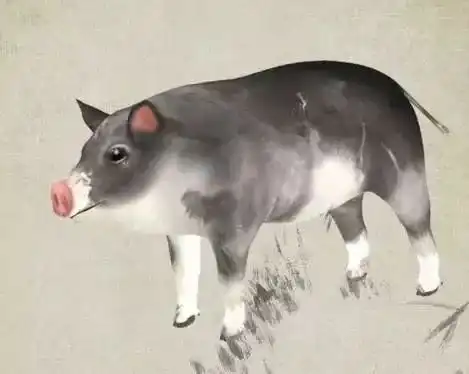 测试一个超长简介的文章
