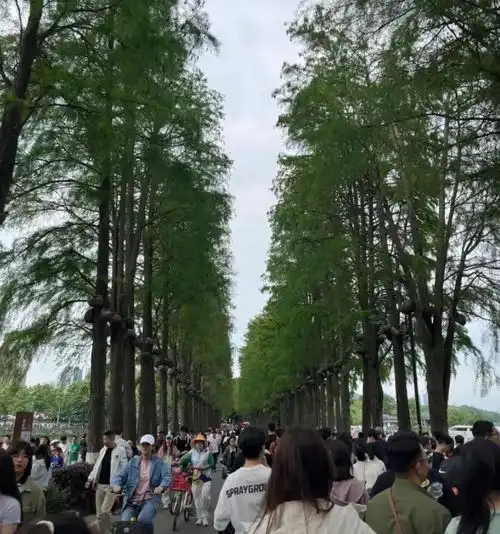 不理解武汉就一个黄鹤楼,怎么就吸引全国各地游客了