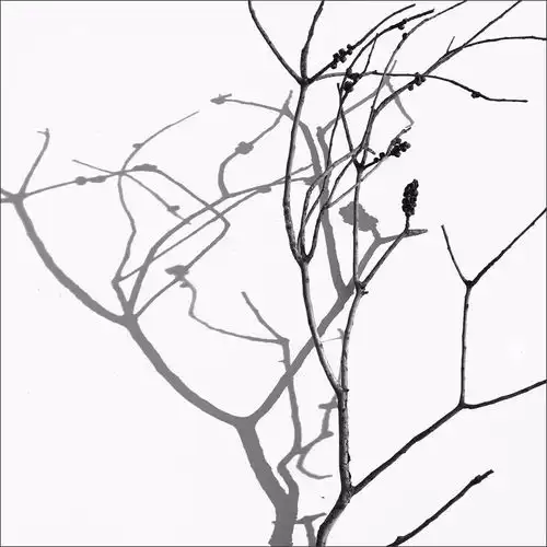 再生欧海春极简黑白摄影作品分享