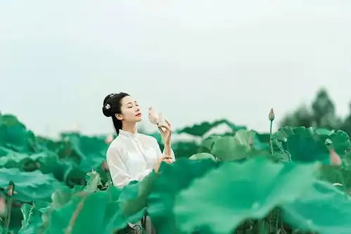 又到一年荷花季,荷花人像如何拍更美5个技巧拍出清新典雅的美