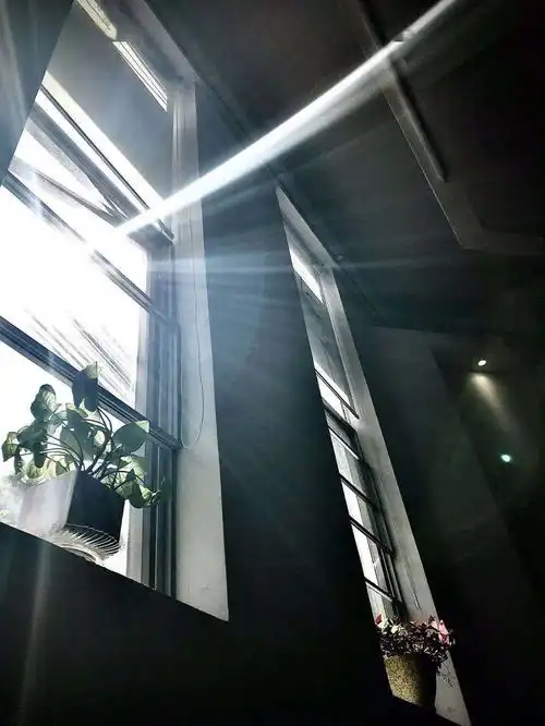 每一张照片,都是时光的标本