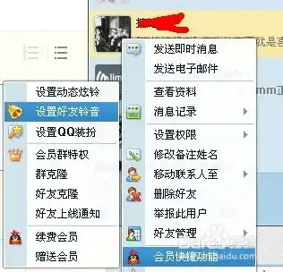 如何正确使用qq会员会员个性铃音