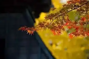放下越多,收获便越多