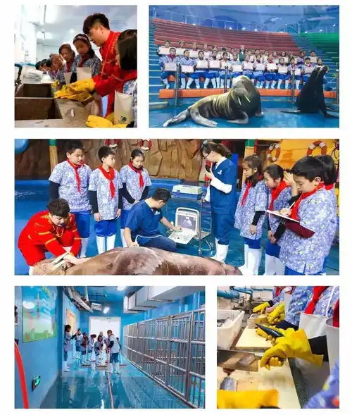 2018年莱山区国庆假日旅游情况综述