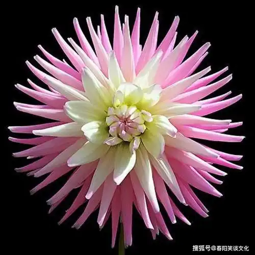 抖音里很走心的句子,经典有深意,句句触动心灵