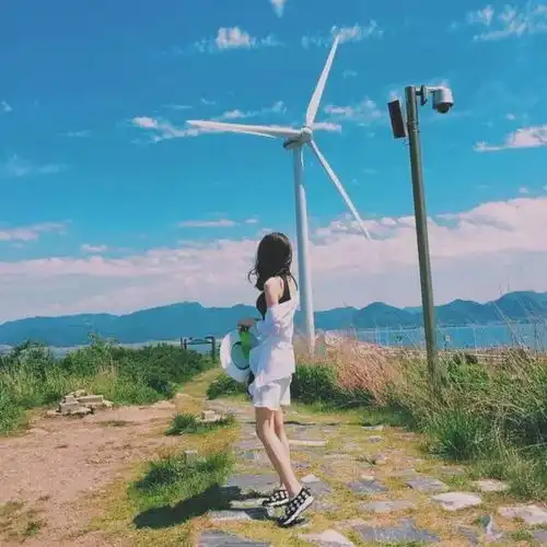 测试一个超长简介的文章