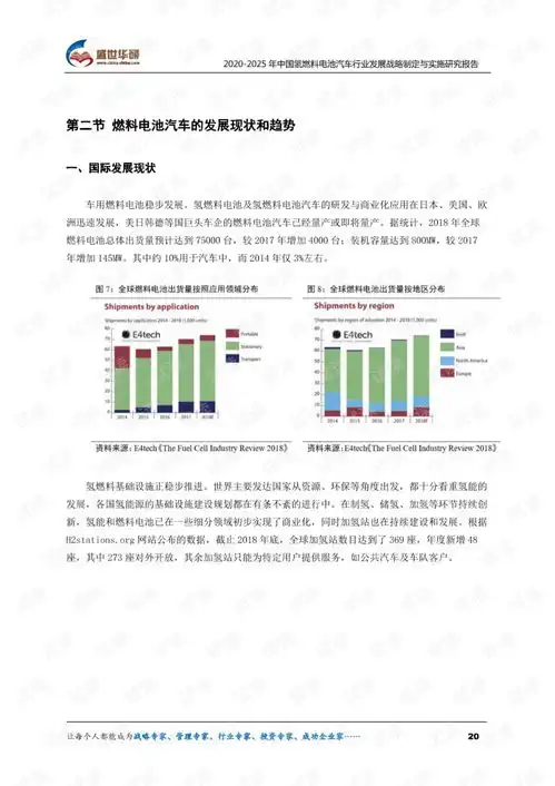 20202025年中国氢燃料电池汽车行业发展战略制定与实施研究报告.pdf