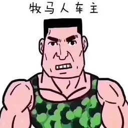 各个汽车品牌的车主画像,惹毛了一大片