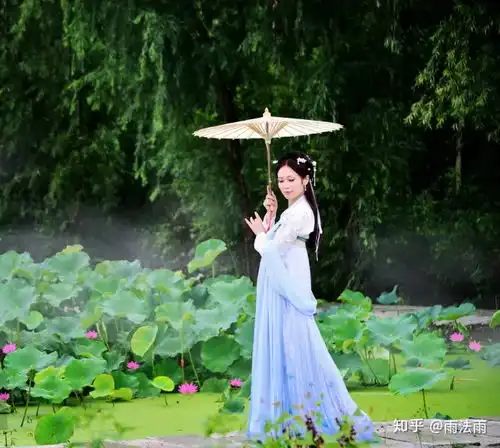 听一曲夏荷风舞开启夏日的美好