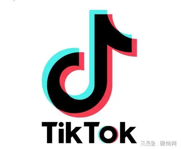 你用对海外版抖音tiktok的标签话题了吗