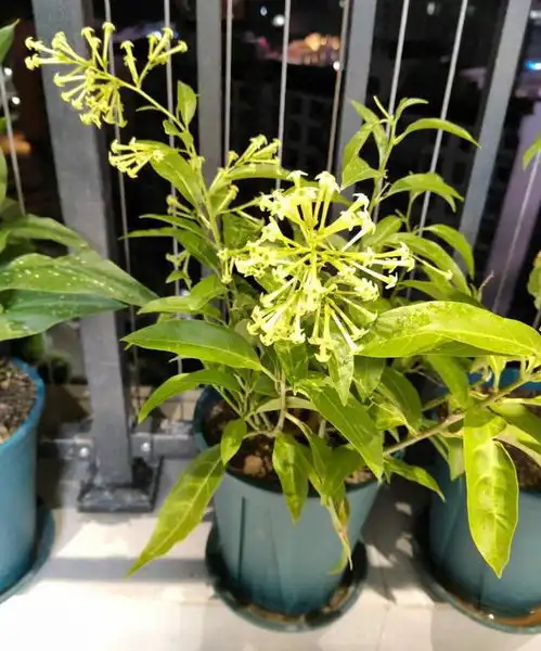 家里再有钱,卧室都别放这5样东西,很多人不懂,尽早拿走吊灯鱼缸镜子衣柜水晶闻久网易订阅