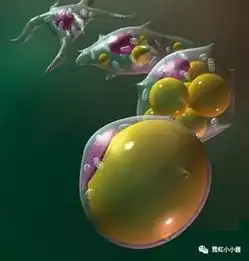 年龄越大越离不开的变美变年轻原材料,请珍惜你的脂肪吧日本医美