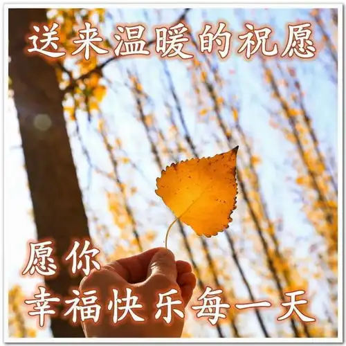 漂亮的早上好温暖问候语图片大全早晨好励志语录精选