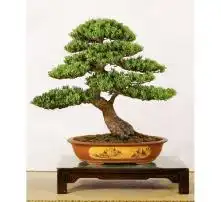 黄页88高清图片