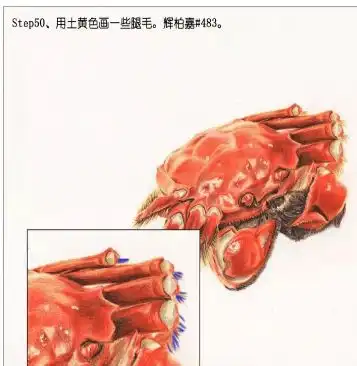 测试一个超长简介的文章