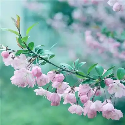 闲闲互娱手游平台