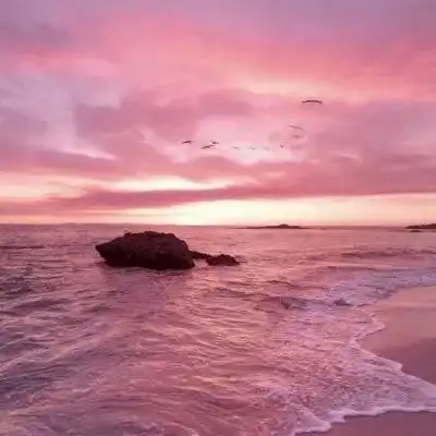 测试一个超长简介的文章