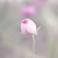 测试一个超长简介的文章