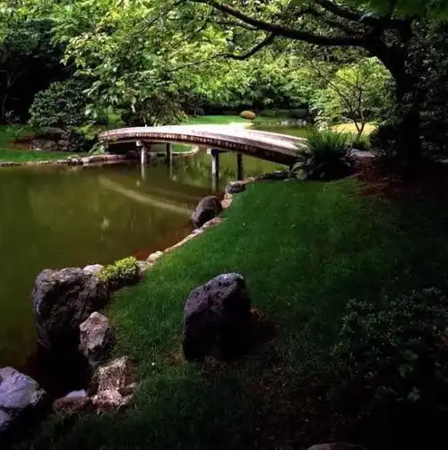 日本庭院枯山水的世界,国宝级枯山水设计师,竟是一位寺庙住持