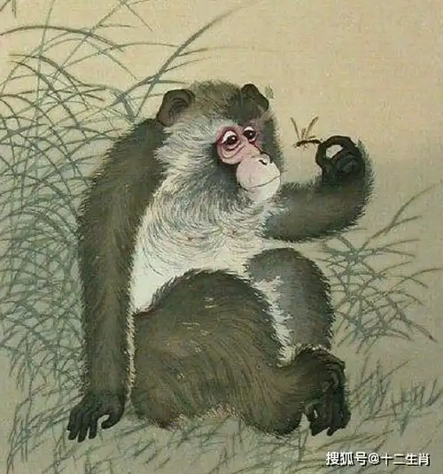生肖猴,要出大好事切忌心不要太急