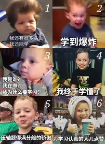 考试月献礼,上电学子四六级考研期末加油