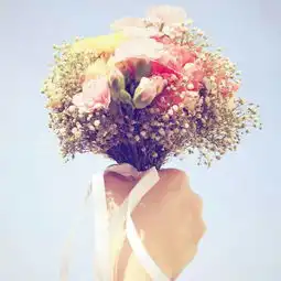 这是什么花代表什么