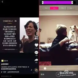 什么软件里有抖音热门视频的模板