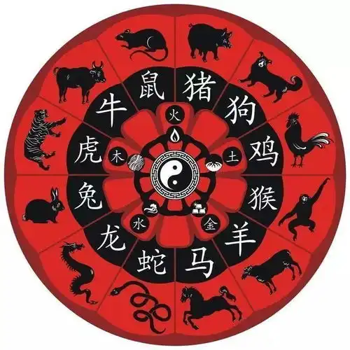 2021辛丑牛年十二生肖这样布局好运自然来
