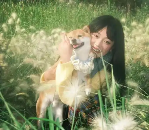 用这组头像,把春天的氛围感焊在朋友圈