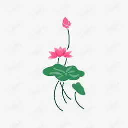 手绘清新荷花荷叶插画素材图片免费下载高清psd千库网图片编号11415829