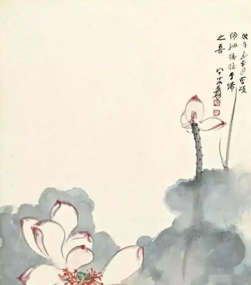 夏日,赏荷