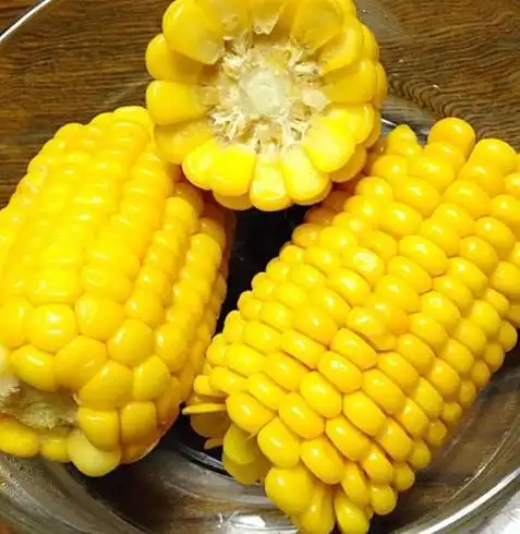 玉米被称为长寿食物,靠什么走上历史舞台,玉米是转基因吗