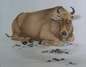 测试一个超长简介的文章