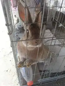 呼伦贝尔自由行,梦一样的自由,呼伦贝尔旅游攻略