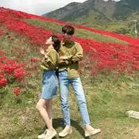 测试一个超长简介的文章