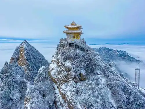 测试一个超长简介的文章