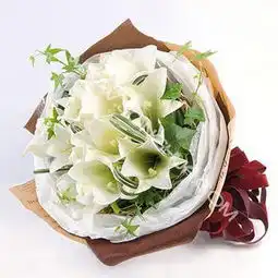 测试一个超长简介的文章