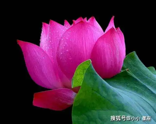 算命先生此4个时辰出生的人,个个是上等命,活得最成功