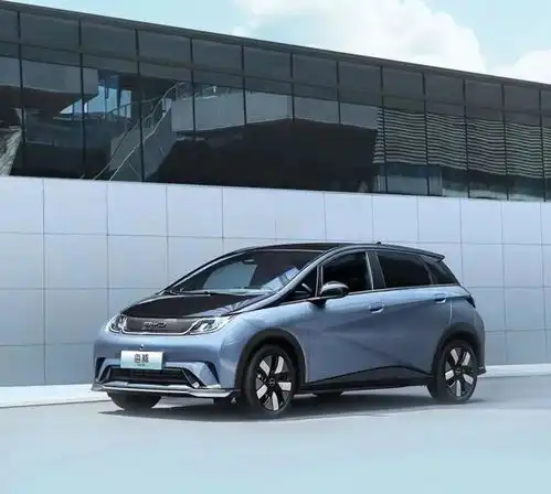 2025款海豚配置分析9.98万基本款值得买吗,买a0级小车够用吗