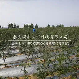 甘南黄页88网