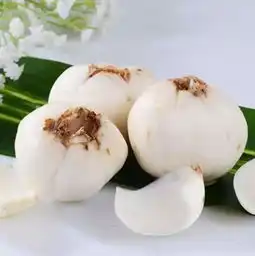 冬季清润滋补好百合