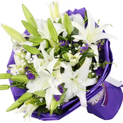 闻香知百合,花儿芳香洁白如玉