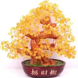 今天是今年的第一个初十五,请把握这个许愿的时刻