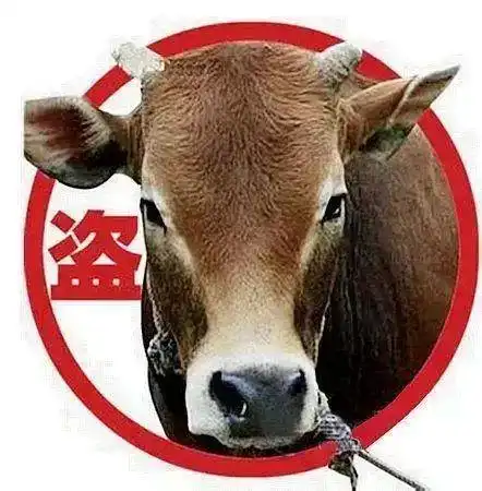 活该吉水一偷牛贼拒不认罪仍被判刑一年三个月