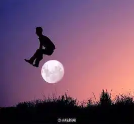 上海3天大雨无缘赏月你要的月亮都在这里