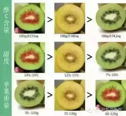 姓源的,我看你要火