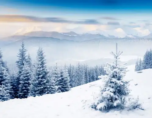 高清冬季冬天雪景自然风景jpg摄影图下载至来源处